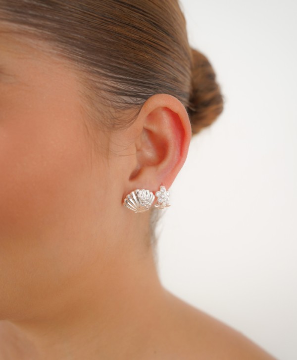 Aretes seashell