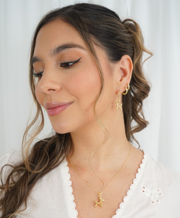 Set aretes y collar balloon dog