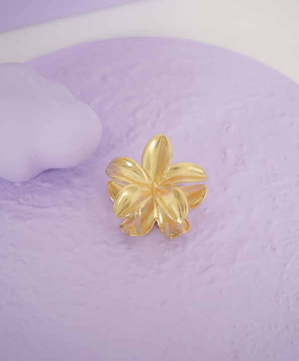 Hair clip plumeria