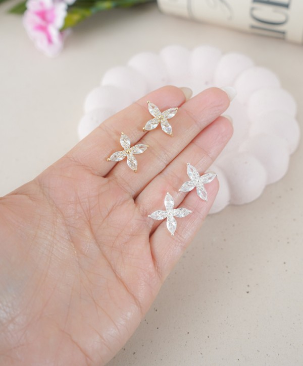 Aretes páramo