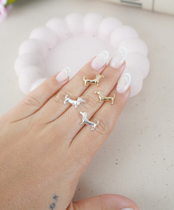 Aretes lin