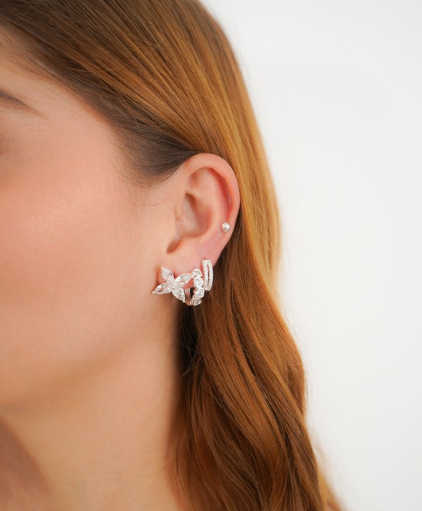 Aretes páramo