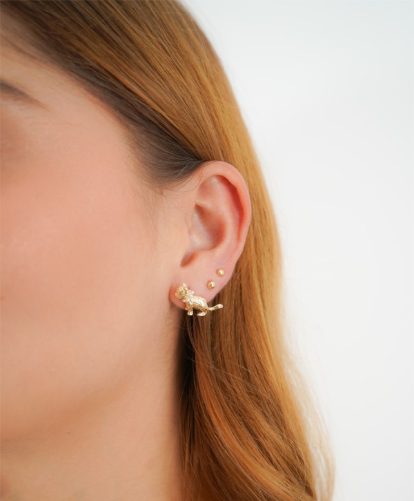 Aretes gatito