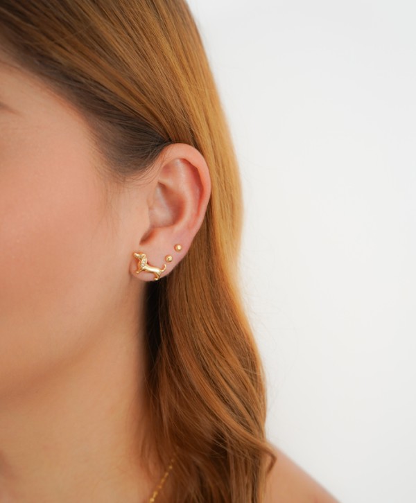 Aretes lin
