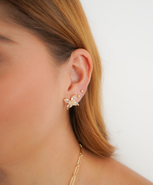 Aretes páramo