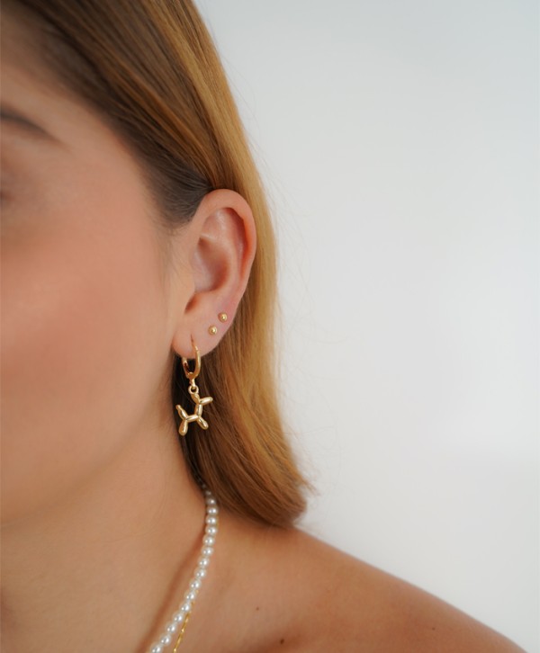 Candongas globo de perrito