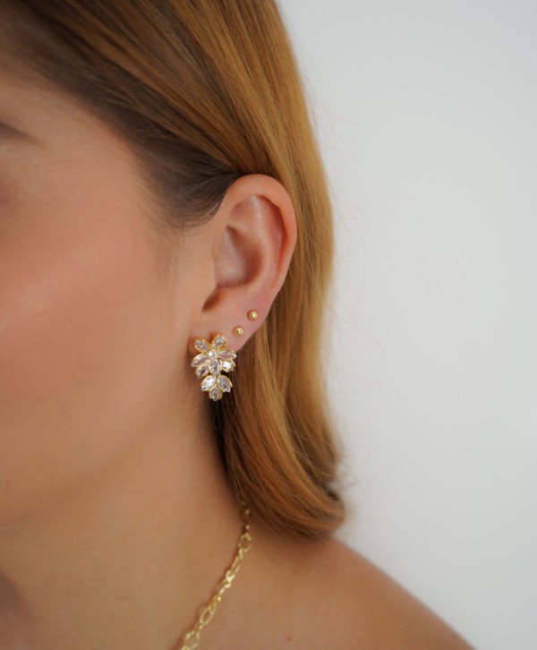Aretes flora