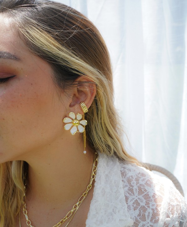 Aretes clavelina
