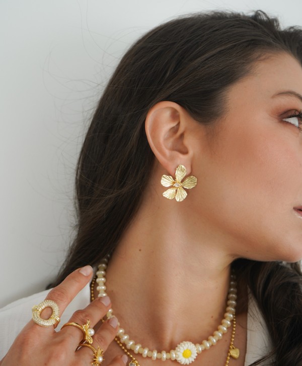 Aretes terracina