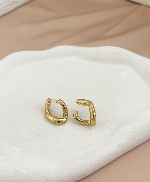 Abstract Earrings