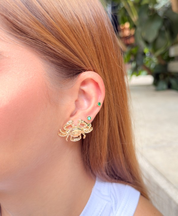 Aretes cangrejito