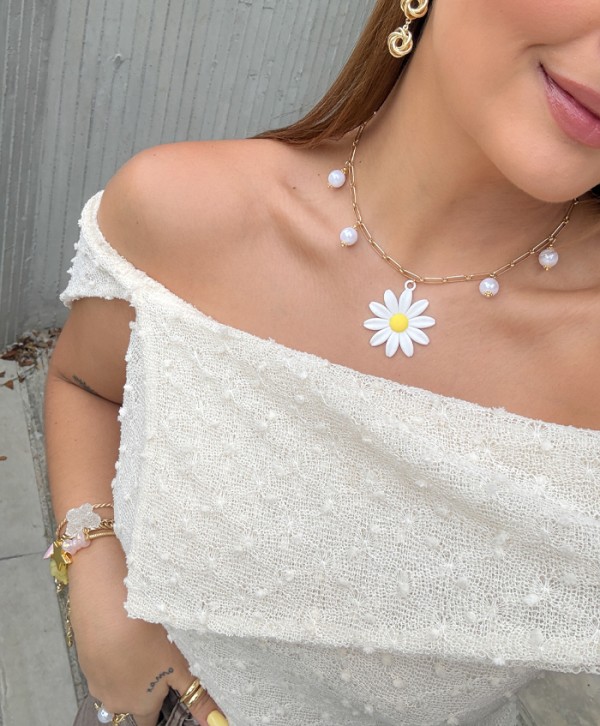 Collar daisy bloom
