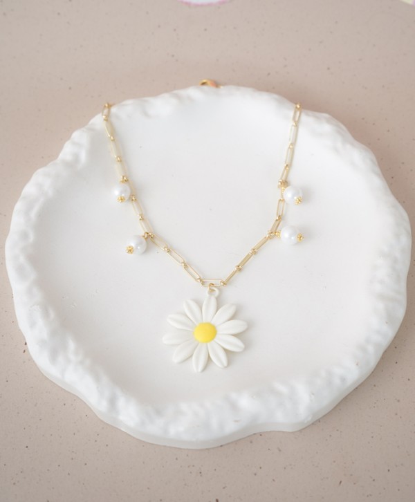 Collar daisy bloom