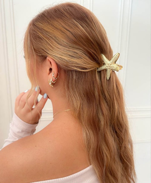 Hair clip starfish