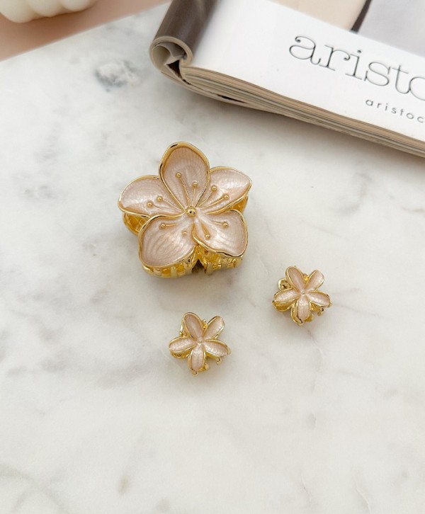 Set hair clips florisa