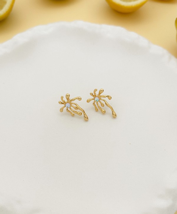 Aretes aqua