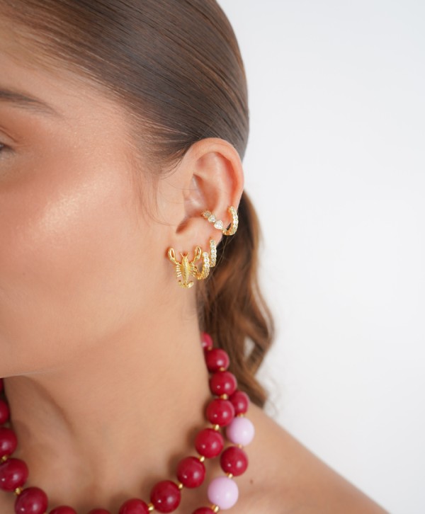 Aretes langosta