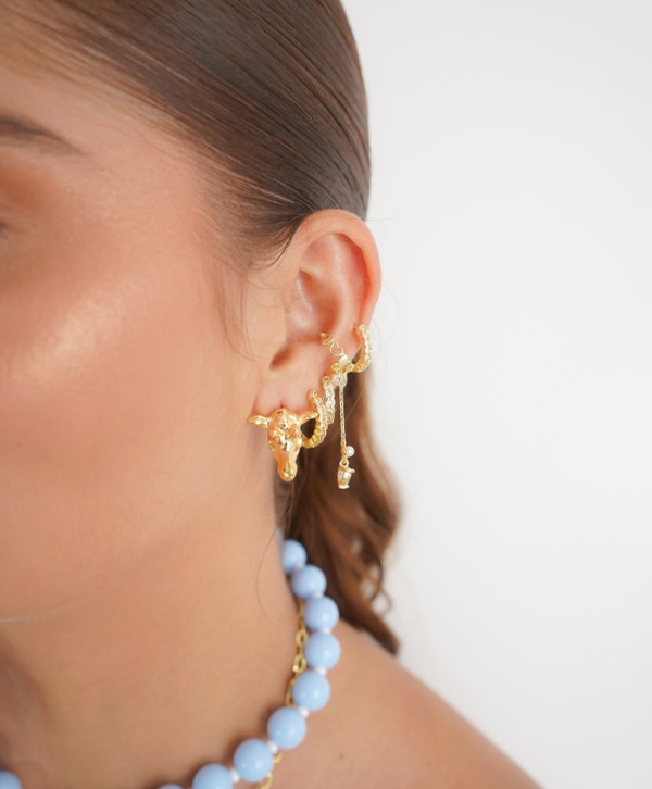 Aretes safari