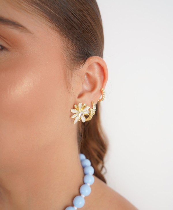 Aretes silvestre