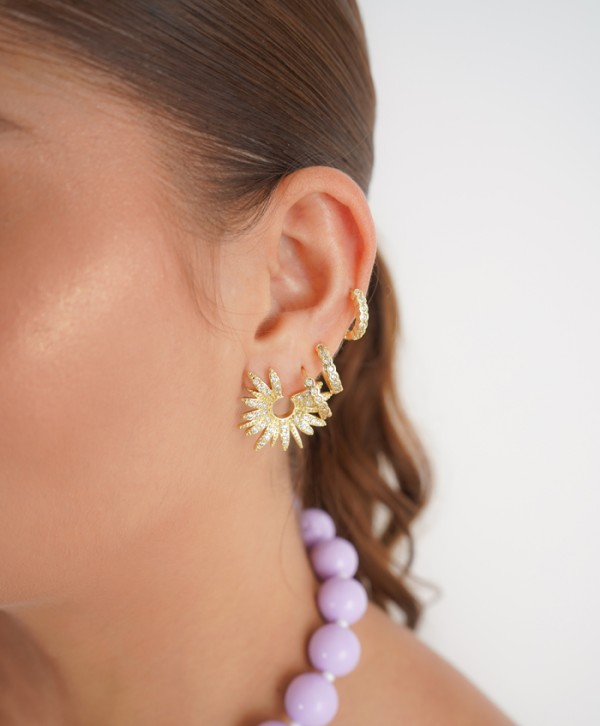 Aretes prestige