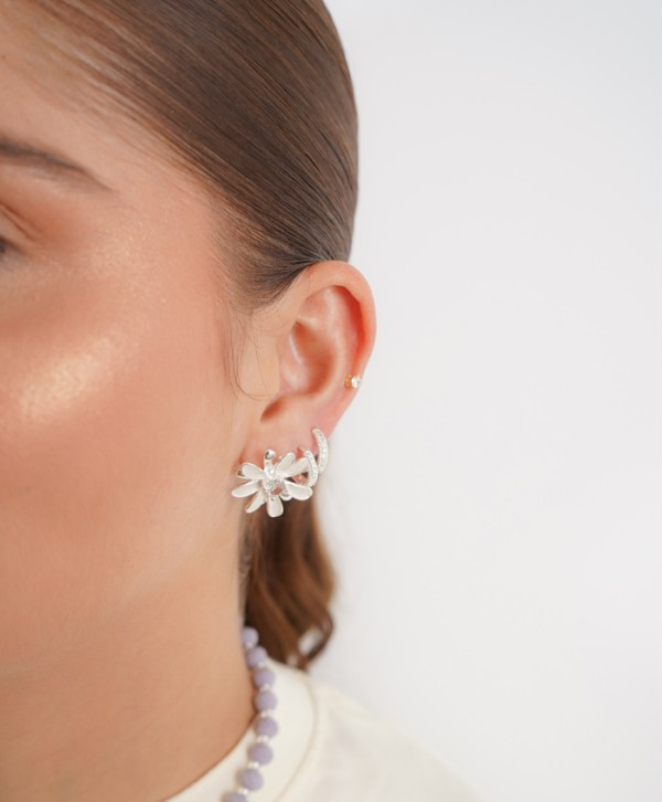 Aretes silvestre
