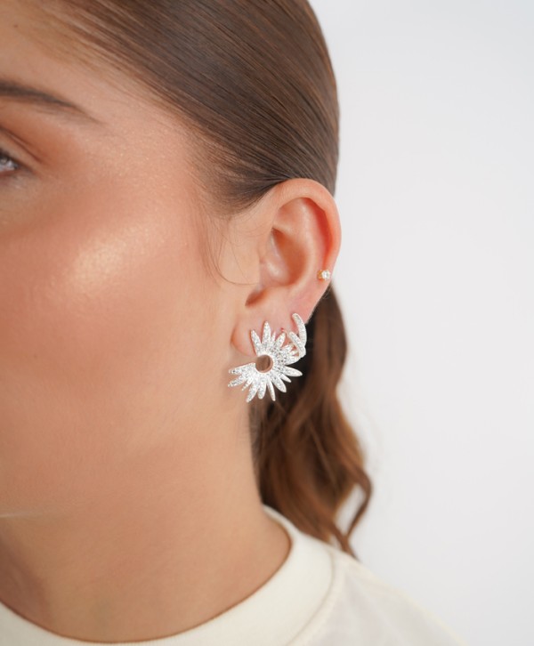 Aretes prestige