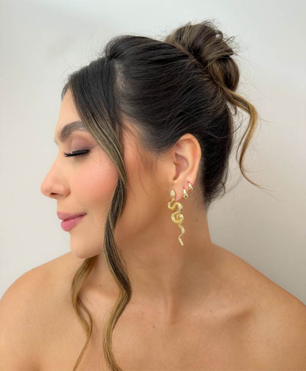 Aretes boa